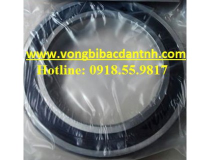 BẠC ĐẠN 6018